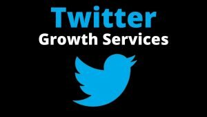 Read more about the article How you can Grow your Twitter account to buy Twitter Services